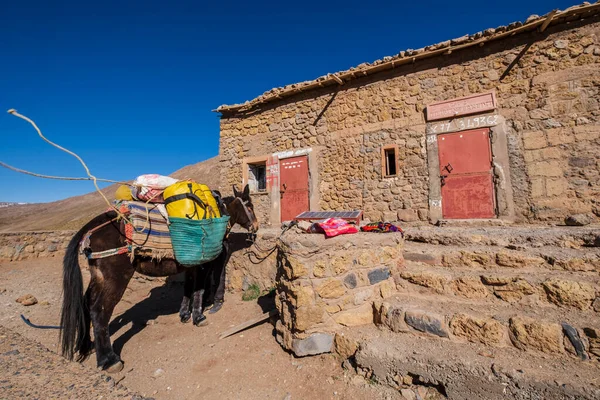Tarkeddit Mountain Refuge Ighil Goun Trek Atlas Mountain Range Morocco — Stock fotografie