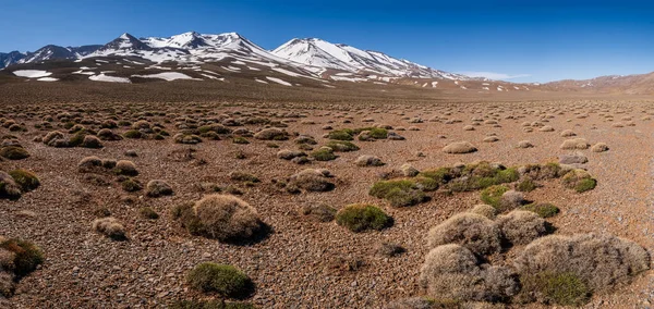 Tarkeddit Platosu ve Ighil M 'Goun menzili, 4,071 metre Atlas Dağları, Fas, Afrika