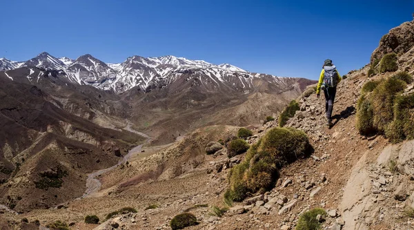 Oumassine Mgoun Variam Timaratine Mgoun Trek Atlas Mountain Range Morocco — Fotografia de Stock