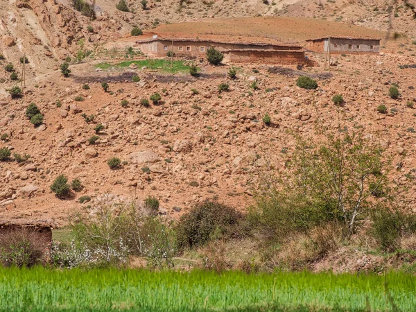 Ait Said Mgoun Trek Valle Bougames Cordillera Del Atlas Marruecos — Foto de Stock