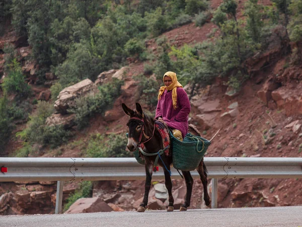 Berber Woman Riding Donkey Ait Blal Azilal Province Atlas Mountain — 图库照片