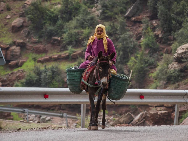 Berber Woman Riding Donkey Ait Blal Azilal Province Atlas Mountain — 图库照片