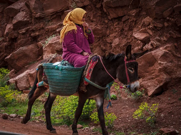 Berber Woman Riding Donkey Ait Blal Azilal Province Atlas Mountain — Φωτογραφία Αρχείου