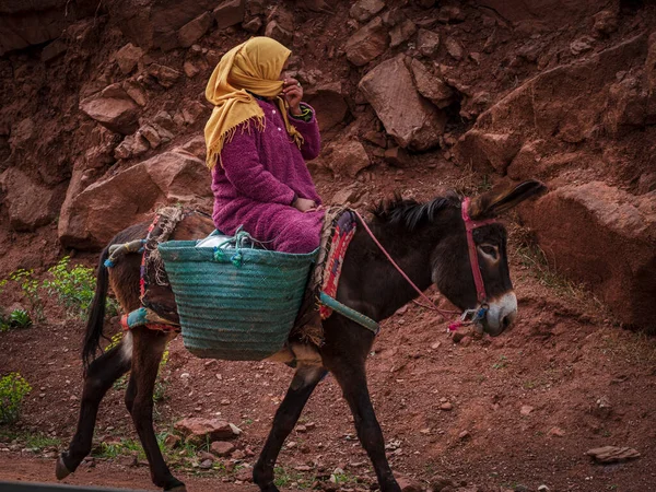 Berber Woman Riding Donkey Ait Blal Azilal Province Atlas Mountain — 图库照片