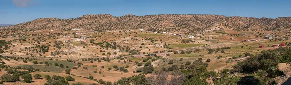 Argan Tree Assaka Δρόμος Από Essaouira Προς Agadir Morocco Αφρική — Φωτογραφία Αρχείου