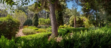 Mayorka, Balear Adaları, İspanya