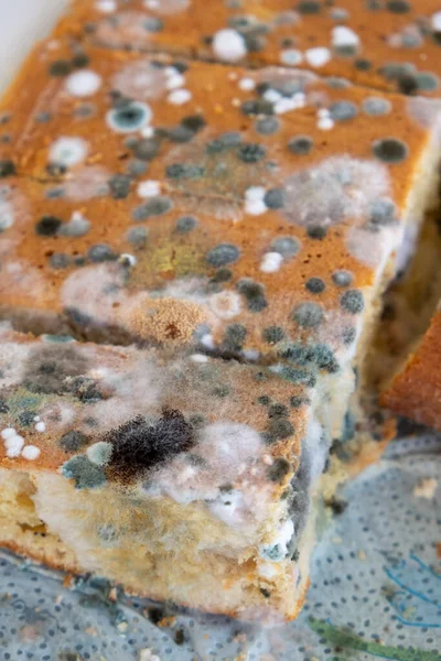 西班牙 巴利阿里群岛 马约卡 覆满霉菌的蛋糕 — 图库照片
