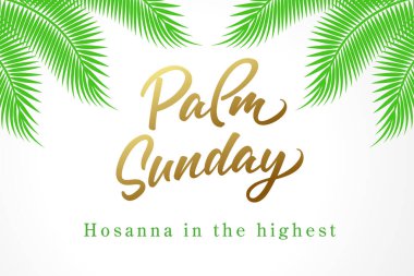 Palm Sunday, en üstte Hosanna. Hristiyan tebrik kartı, el yazısı ve palmiye yaprakları. İncil vektör illüstrasyonu