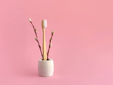 Bamboo toothbrush, pussy willow branches in concrete stand, pink background, spring eco concept, copy space