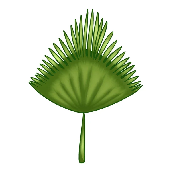 Güzel palmiye yaprağı, her amaç için harika bir tasarım..