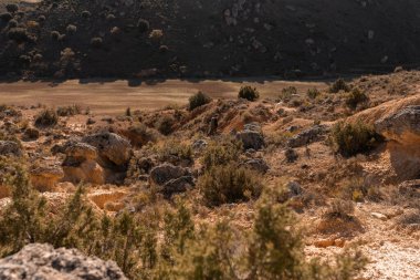 Uzaktaki avcı köpeği ile avını arıyor.