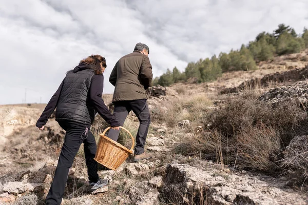 Una pareja está caminando en la naturaleza con una cesta para recoger setas — Foto de Stock