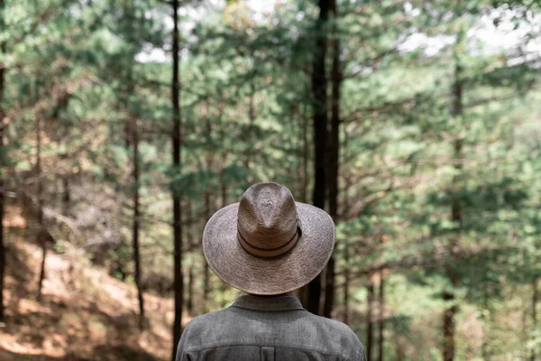 Hombre Irreconocible Con Sombrero Está Contemplando Inmensidad Del Bosque Durante — Foto de Stock