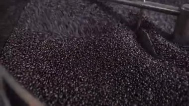 Kavrulmuş kahve tanelerini kızartma makinesinin soğutma tepsisinin içine karıştırın. Yerel kahve üretimi kavramı