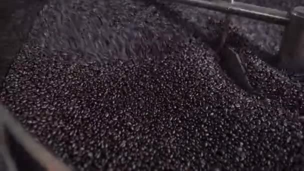 Kavrulmuş Kahve Tanelerini Kızartma Makinesinin Soğutma Tepsisinin Içine Karıştırın Yerel — Stok video
