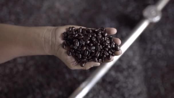 Adult Man Hand Holding Dark Roasted Coffee Grains Top Cooling — Stock Video