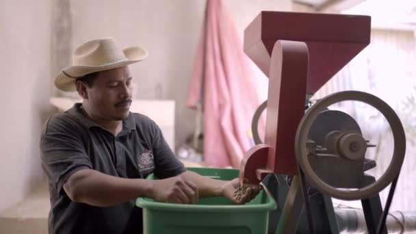 Seorang Petani Hispanik Mengumpulkan Biji Kopi Dari Mesin Pengupas Konsep — Stok Video