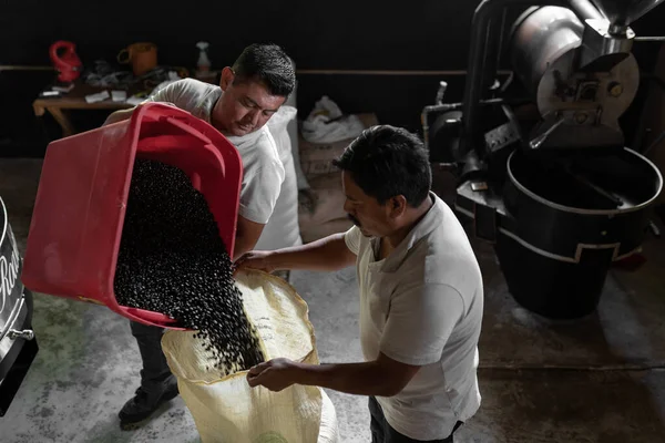 Two Hispanic men are storaging the coffee after being roasted. Concept of local coffee production