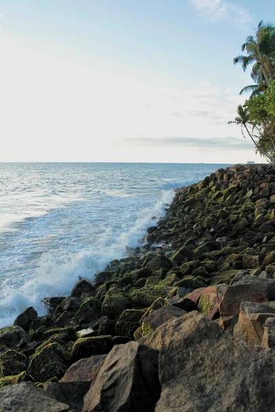 해변의 이끼로 뒤덮인 바위들의 — 스톡 사진