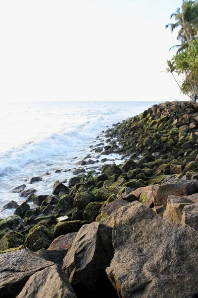 해변의 이끼로 뒤덮인 바위들의 — 스톡 사진