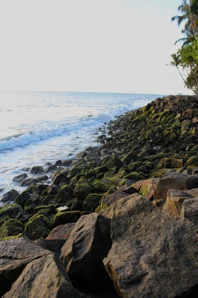 Vista Las Rocas Cubiertas Musgo Playa — Foto de Stock