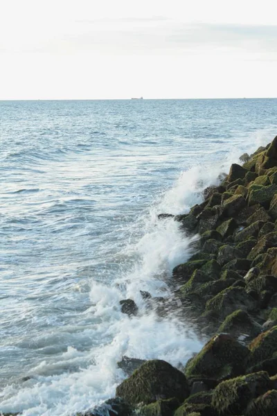 Diese Moosfelsen Wurden Vor Kurzem Strand Gefunden Und Dieses Foto — Stockfoto