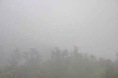 Güney Hindistan 'daki vajina dağı kış boyunca sisle kaplıydı.