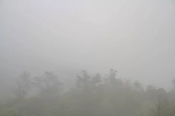 Valle Montaña Vagamón Sur India Cubierto Niebla Durante Invierno — Foto de Stock