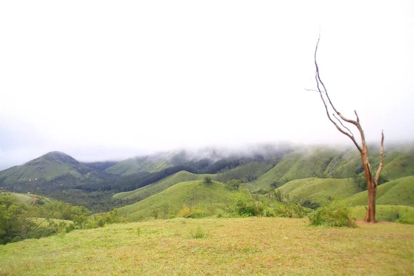 Vue Une Des Prairies Vagamon Lors Une Matinée Brumeuse Avec — Photo