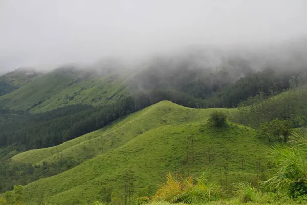 Вид Туманні Зелені Луки Вранці — стокове фото