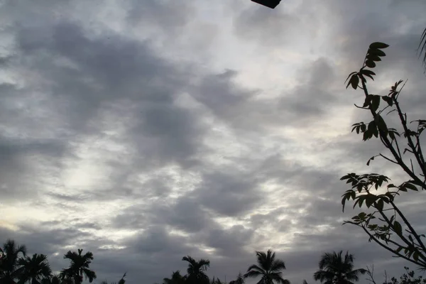 Silueta Árboles Atardecer — Foto de Stock