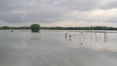 Bir grup doğulu dartçı sabah göle giderken görülmüş.