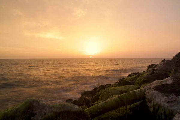 Langzeitbelichtungsbild Vom Strand Bei Sonnenuntergang Mit Algenbedeckten Felsen Vordergrund — Stockfoto