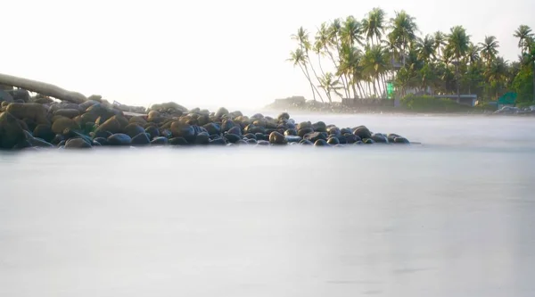 오후에 해변에서 코코넛 나무들 장시간 — 스톡 사진