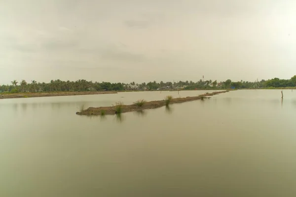 둑에서 바라본 — 스톡 사진