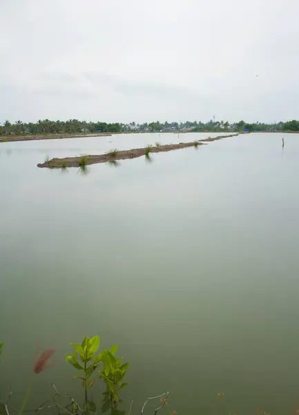 Vista Desde Las Orillas Del Lago Bajo Cielo Nublado —  Fotos de Stock