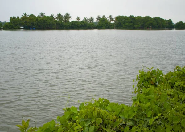 Vue Depuis Les Rives Lac Sous Ciel Couvert — Photo