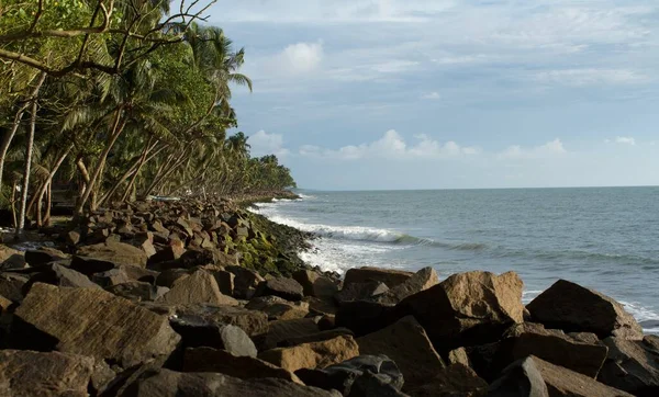 이끼가 바위들 줄줄이 아라비아 케랄라 해안으로 오후의 — 스톡 사진