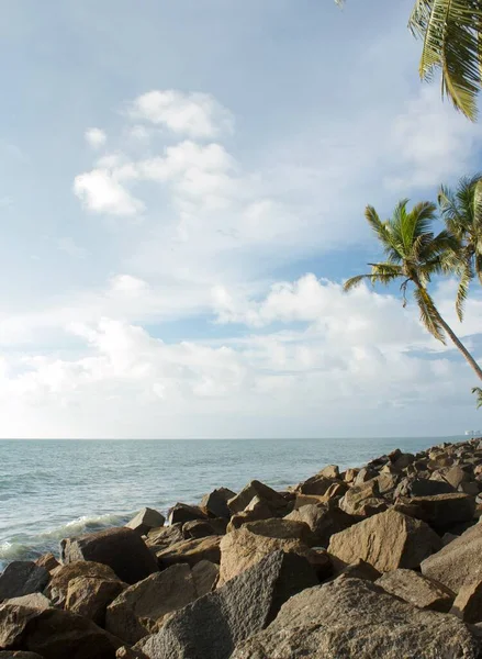 背後のヤシの木や波の侵入を防ぐためにインド洋沿岸の大きな岩は — ストック写真