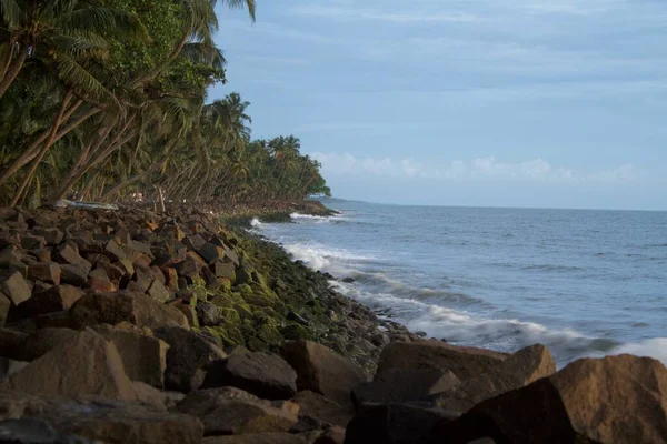 Pohled Moře Odpoledních Hodinách Mechem Pokryté Skály Linie Kokosových Stromů — Stock fotografie