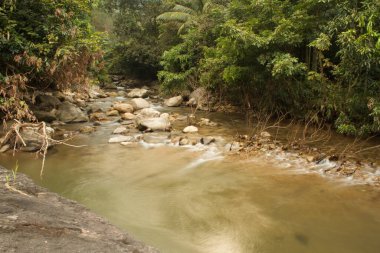 Bu temiz dere Hindistan 'ın batısındaki ghatlarda. Bu konum son bir ziyaret sırasında bulundu.