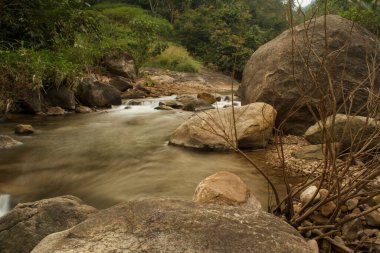 Bu temiz dere Hindistan 'ın batısındaki ghatlarda. Bu konum son bir ziyaret sırasında bulundu.