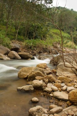 Bu temiz dere Hindistan 'ın batısındaki ghatlarda. Bu konum son bir ziyaret sırasında bulundu.