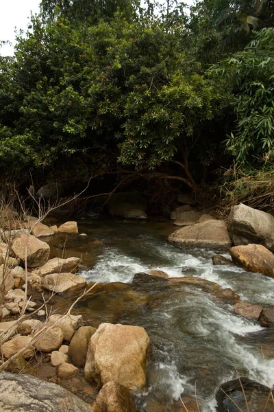 Bu temiz dere Hindistan 'ın batısındaki ghatlarda. Bu konum muson mevsiminden sonra yapılan bir ziyaret sırasında bulundu. Nehir, heyelan sırasında en üst bölgelerden gelen büyük kayalarla doludur.