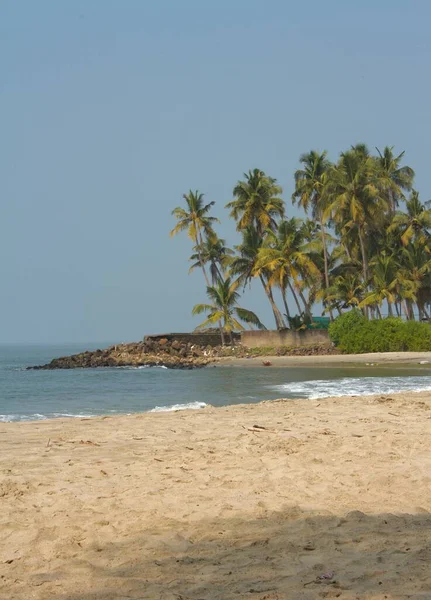 Pohled Pláž Během Slunečného Dne Skály Kokosové Stromy Pozadí — Stock fotografie