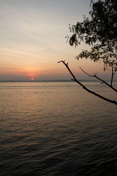 Foto Das Margens Rio Durante Nascer Sol Com Ramo Árvore — Fotografia de Stock