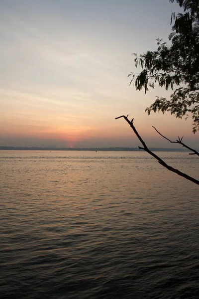 Зображення Берегів Річки Під Час Сходу Сонця Гілкою Дерева Передньому — стокове фото