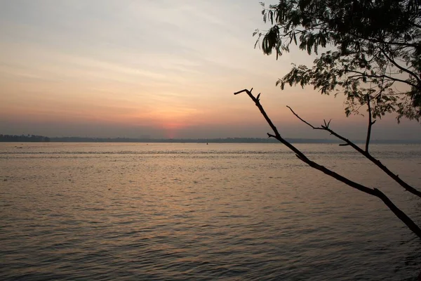 Gün Doğumunda Nehir Kıyısında Planda Bir Ağaç Dalıyla Çekilmiş — Stok fotoğraf