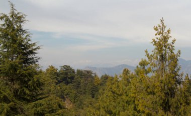 Fotoğraf öğleden sonra mavi gökyüzünün altında çekildi. Himalayalar 'ın kar örtüsü arka planda kısmen görülüyor.