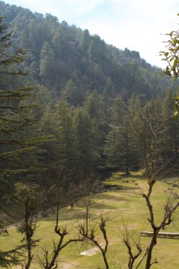 George Everest tepesinin aşağısındaki güzel vadi.